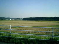 お疲れ様でした!!!