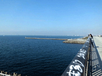 幕張の浜