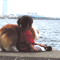 これがその証拠写真です。